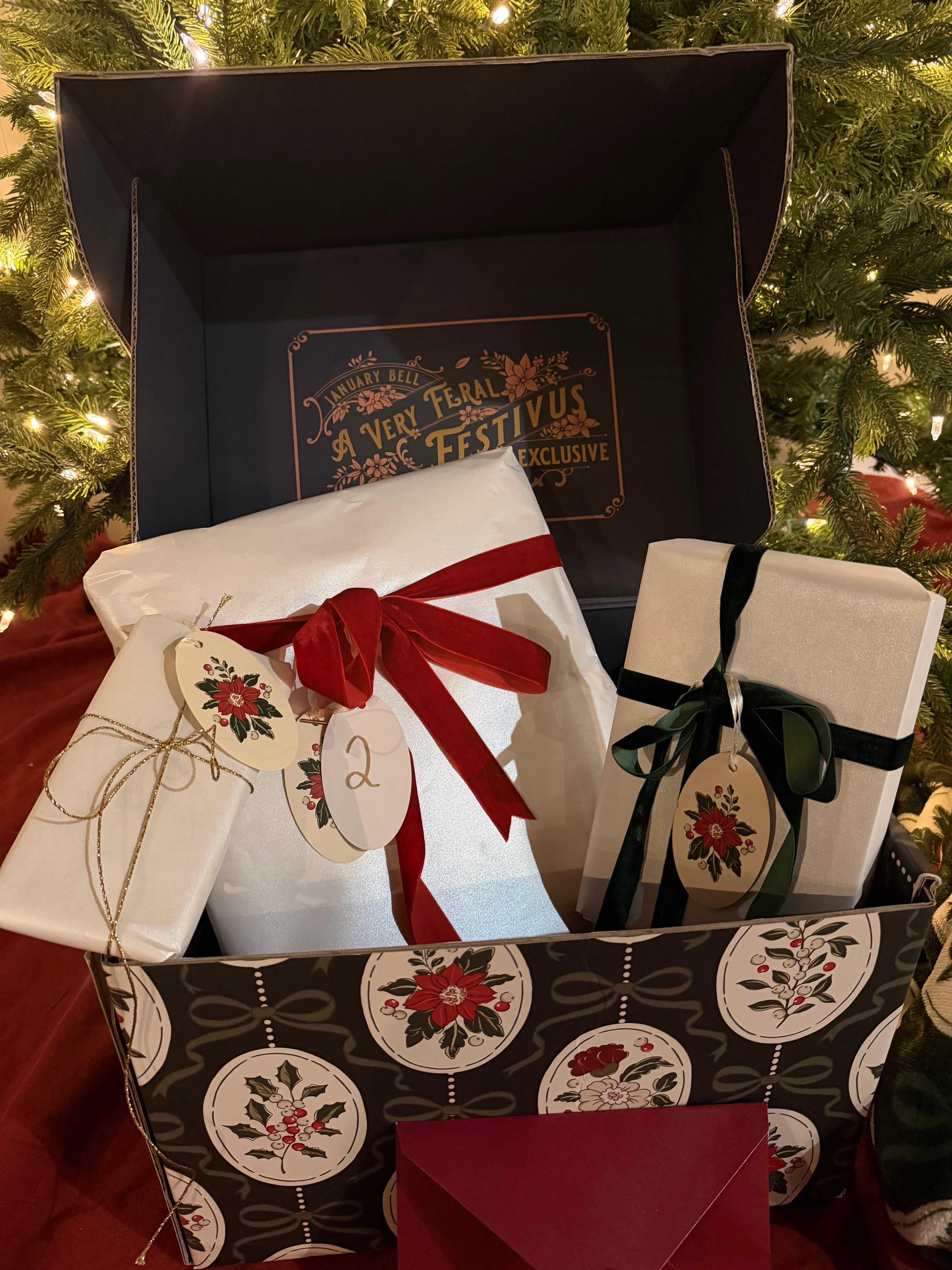 Feral Festivus Advent Calendar Book Box