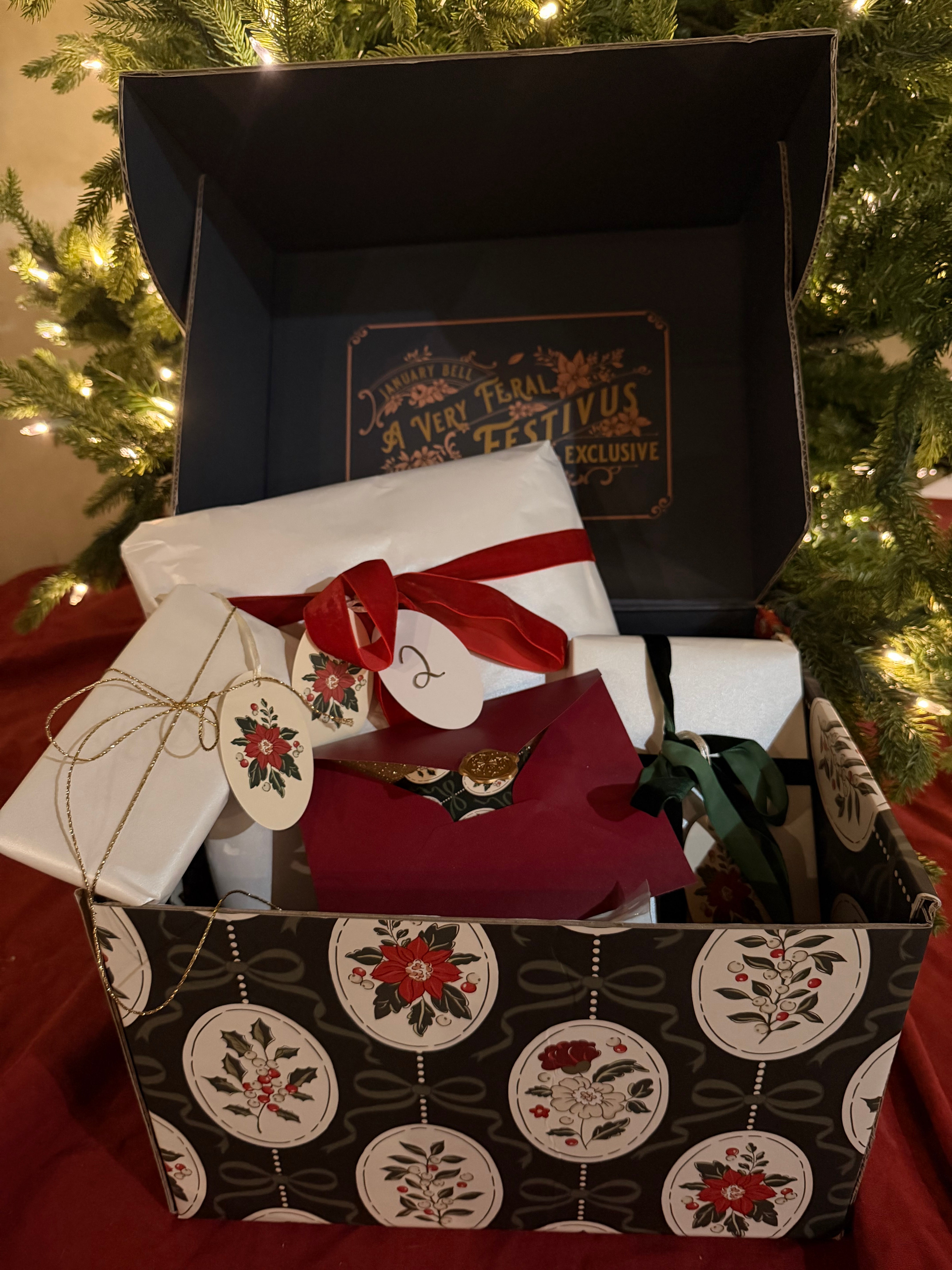 Feral Festivus Advent Calendar Book Box