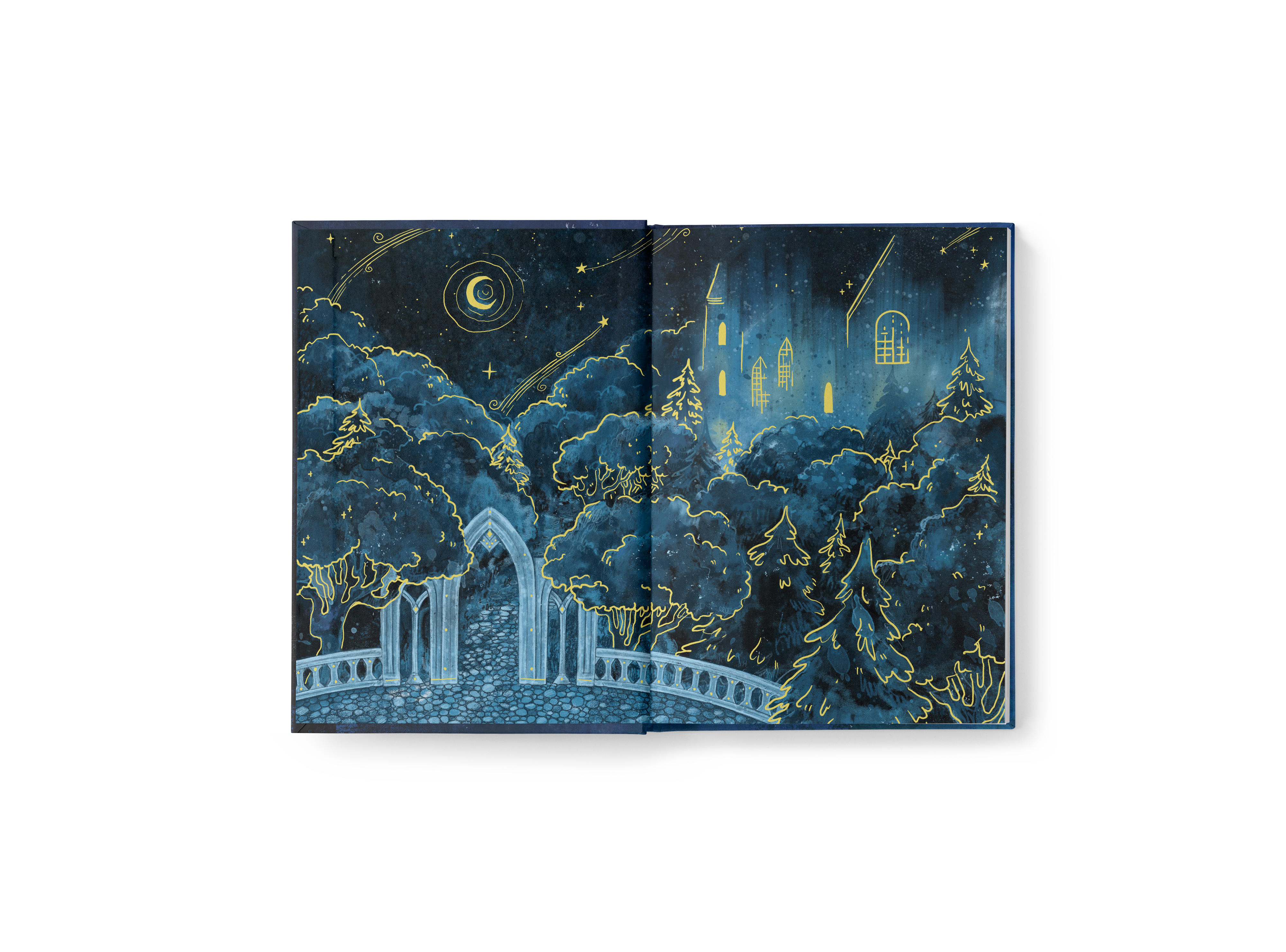 PREORDER: Shadow King Hardcover Special Edition